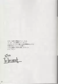 (C72) [FLAT&SLIT RACING (66)] SILENT VOICE (Zero no Tsukaima)