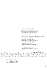 (C85) [Reverse Noise (Yamu)] Loose Strings (Touhou Project)
