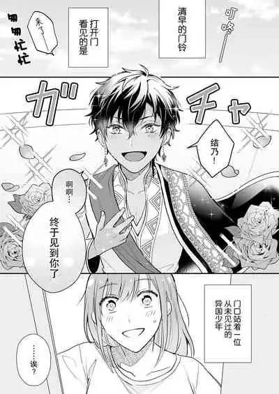 Game no Danna ga Spa Shota Sultan Datta Ken | 关于游戏中的老公是正太苏丹这档事