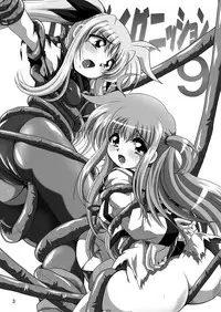 [Thirty Saver Street 2D Shooting (Maki Hideto)] Storage Ignition 9 (Mahou Shoujo Lyrical Nanoha) [Digital]