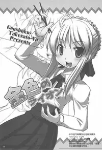 (C72) [Genshoku-Takesato-ya (Mimura Ryou, Takenoko Seijin)] Konjiki no Lion | 我們家的金獅子 (Fate/hollow ataraxia) [Chinese]
