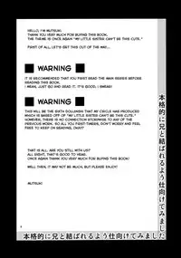 (C84) [Junk Box (Mutsuki)] Honkakuteki ni Ani to Musubareru you ni Shimukete Mimashita (Ore no Imouto ga Konna ni Kawaii Wake ga Nai) [English] [Dammon]