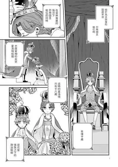 少年王と年上王妃 中文翻譯