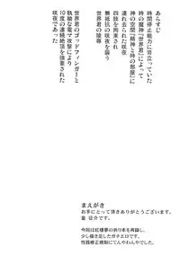 (C85) [Sumeragi Designs (Sumeragi Seisuke)] D4C continue (Touhou Project)