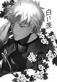 (Dai 11-ji ROOT4to5) [Yoke (emya)] Shiroi Ibara (Fate/Grand Order)