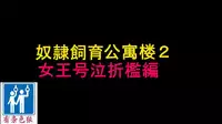 [Naya] Dorei Shiiku Mansion 2 Joou Goukyuu Sekkan Hen | 奴隷飼育公寓2・女王号泣折槛编 [Chinese] [有条色狼汉化]