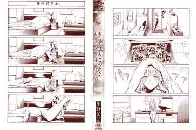 Irohanihoheto | 妍豔芬芳