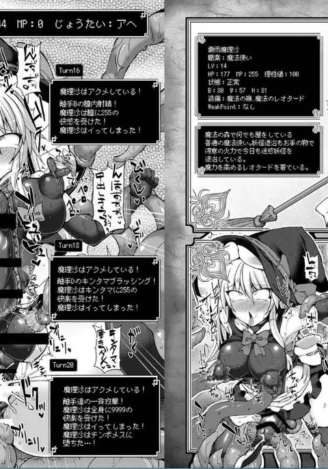 Touhou Ero Status Goudou