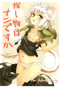 (C82) [Animal Passion (Yude Pea)] Sagashimono wa Nan Desu ka | What Is It That You Are Looking For (Touhou Project) [English] {pesu}